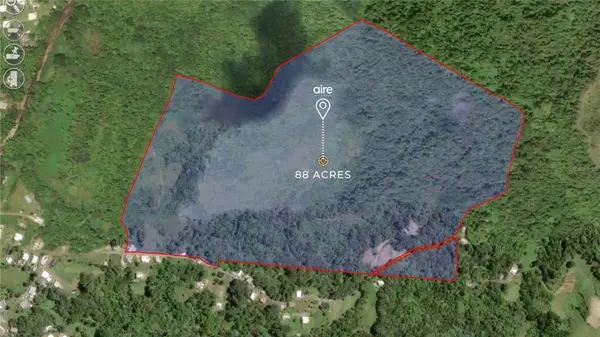PR-181 km 11.0 CAYAGUAZ, San Lorenzo, PR 00754