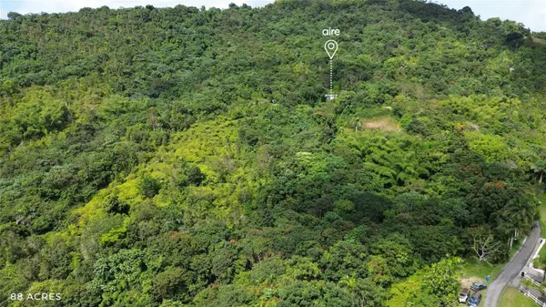 PR-181 km 11.0 CAYAGUAZ, San Lorenzo, PR 00754
