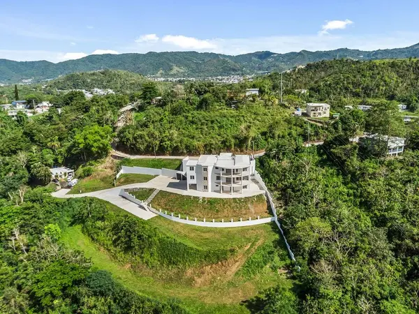 CARR 171 MOGOTE, Cayey, PR 00736