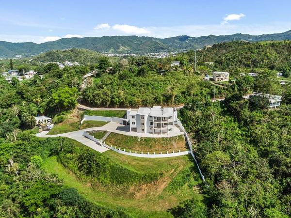 CARR 171 MOGOTE, Cayey, PR 00736