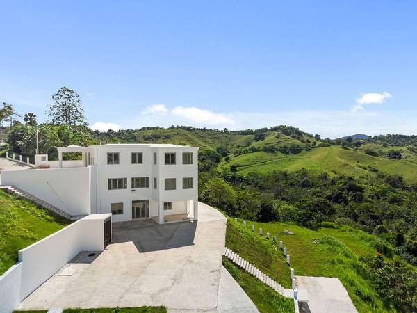 CARR 171 MOGOTE, Cayey, PR 00736