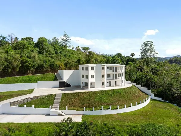CARR 171 MOGOTE, Cayey, PR 00736