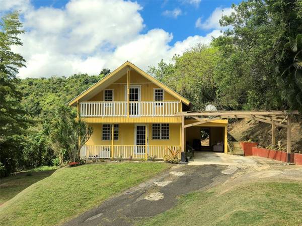 PR 770 KM 5.5 CAÑABÓN WARD, Barranquitas, PR 00794
