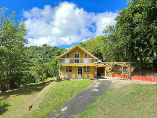 PR 770 KM 5.5 CAÑABÓN WARD, Barranquitas, PR 00794