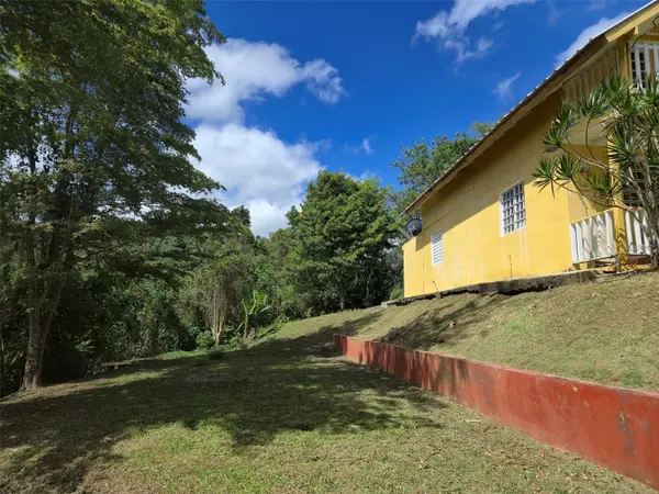 PR 770 KM 5.5 CAÑABÓN WARD, Barranquitas, PR 00794