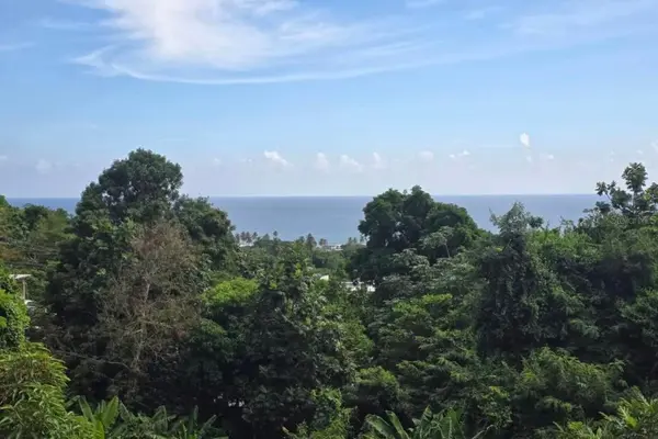290 CALLE CEIBA, Patillas, PR 00723