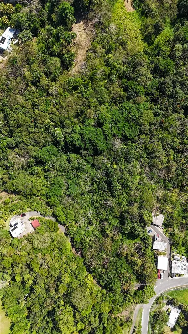 Carr. 414 KM 3.2 BO.CRUCES, Aguada, PR 00602