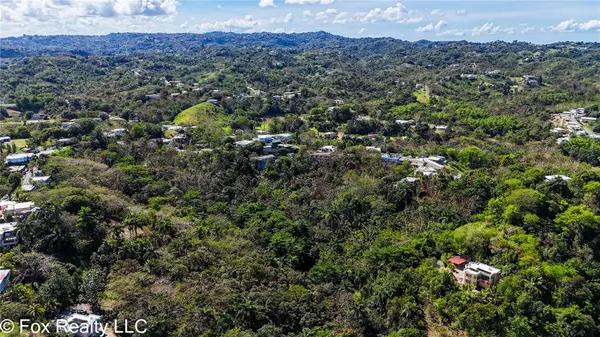 Carr. 414 KM 3.2 BO.CRUCES, Aguada, PR 00602