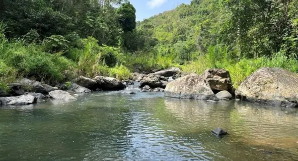 LAS LOMAS, Canovanas, PR 00729