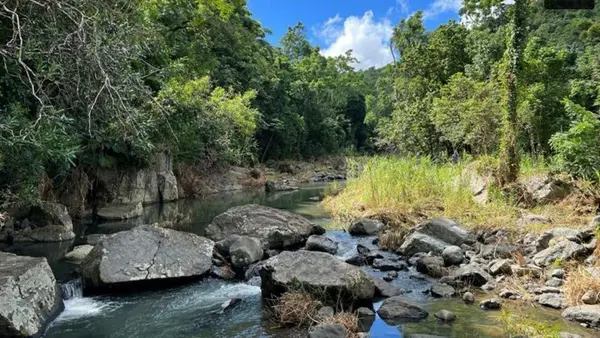 LAS LOMAS, Canovanas, PR 00729