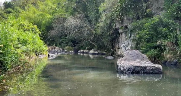LAS LOMAS, Canovanas, PR 00729