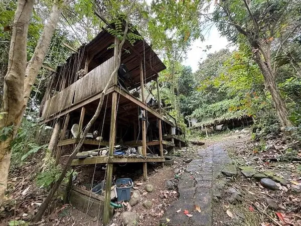 BO JIMENEZ CARR 966, Rio Grande, PR 00745