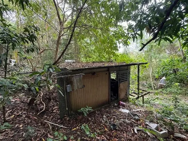 BO JIMENEZ CARR 966, Rio Grande, PR 00745