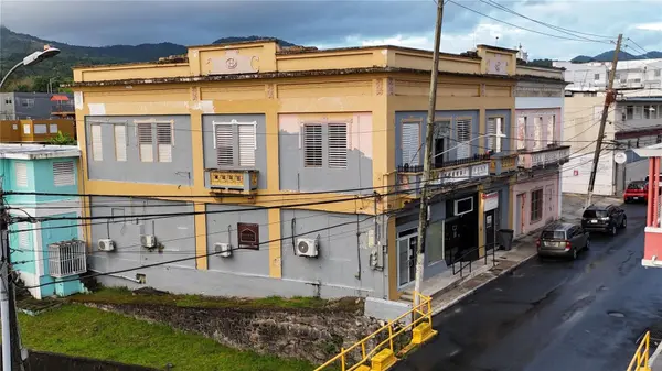 156 CALLE JOSE DE DIEGO, Cayey, PR 00736