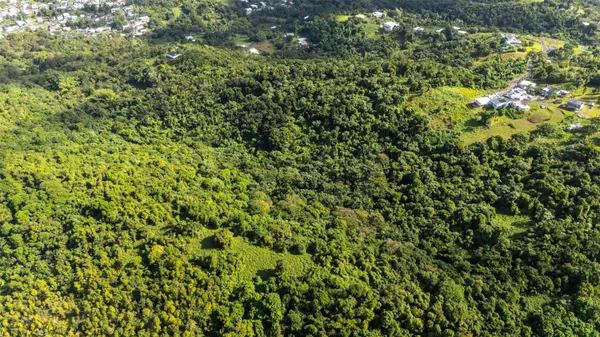 966 ZARZAL RD, Rio Grande, PR 00745