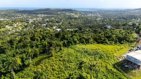 966 ZARZAL RD, Rio Grande, PR 00745