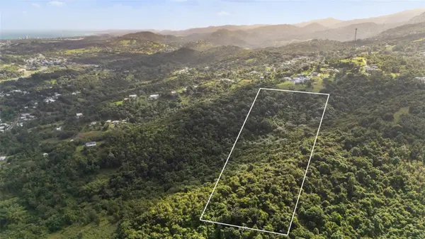 966 ZARZAL RD, Rio Grande, PR 00745
