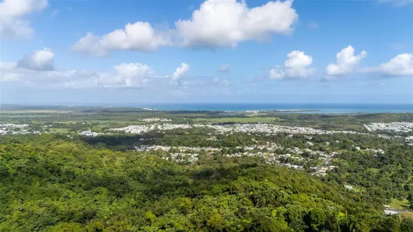 966 ZARZAL RD, Rio Grande, PR 00745