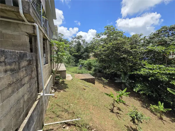 173 KM 15.8, Cidra, PR 00739