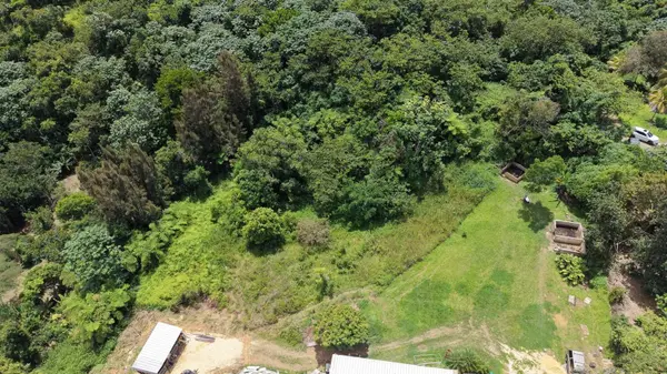 CAMINO VITORIANO, Lares, PR 00669