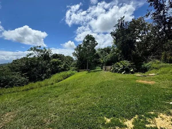 CAMINO VITORIANO, Lares, PR 00669