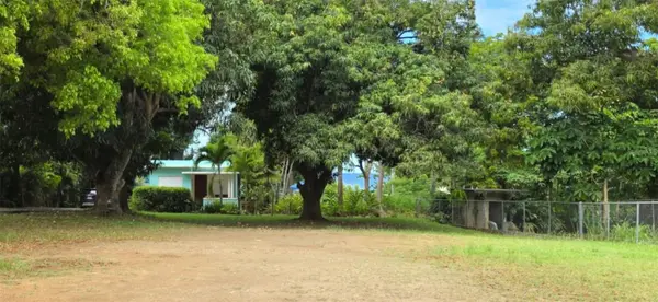 BARRIO PUNTAS, Rincon, PR 00677