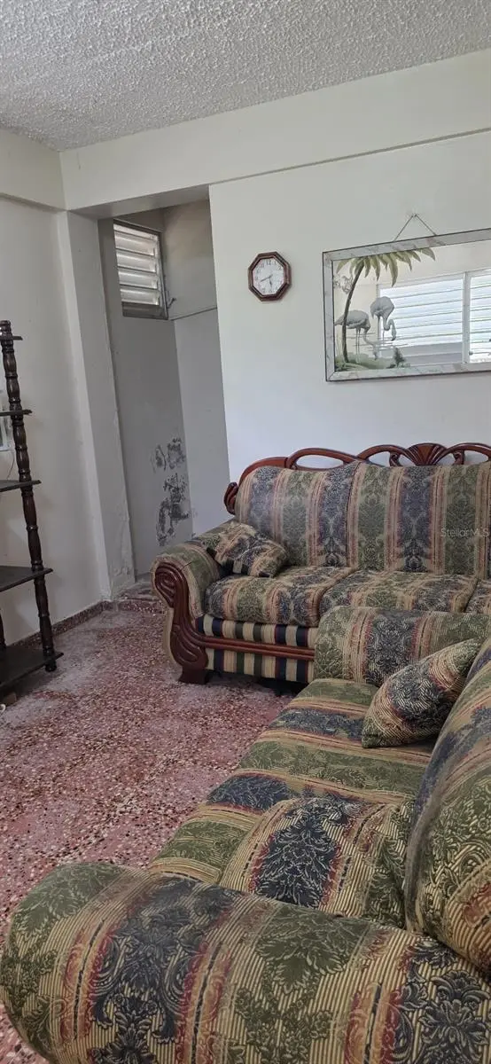 53 Aquilino CARR. 430, BO. OVEJAS, Anasco, PR 00610