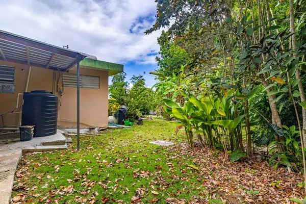 Road PR-455 BO. QUEBRADA INT, Camuy, PR 00627