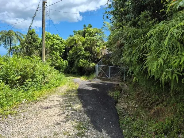 KM 24.1 PR 143, Juana Diaz, PR 00795