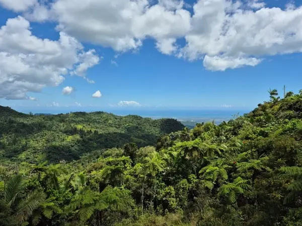 KM 24.1 PR 143, Juana Diaz, PR 00795
