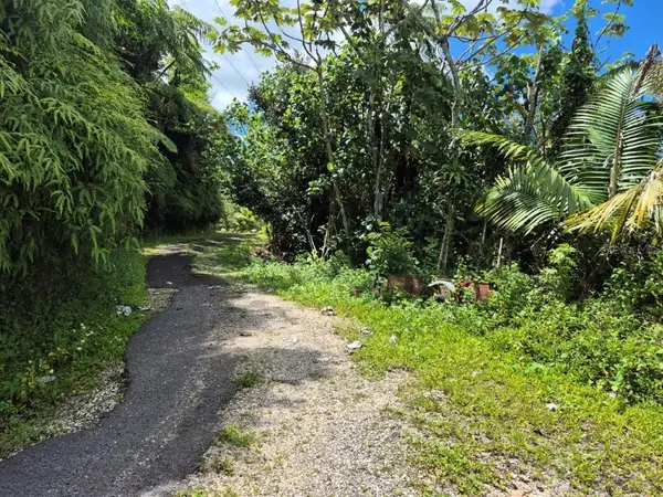 KM 24.1 PR 143, Juana Diaz, PR 00795