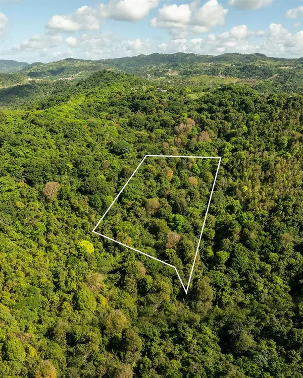 Carr 853 BO. CACAO LOTE 15, Carolina, PR 00987