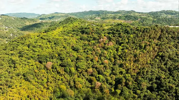 Carr 853 BO. CACAO LOTE 15, Carolina, PR 00987