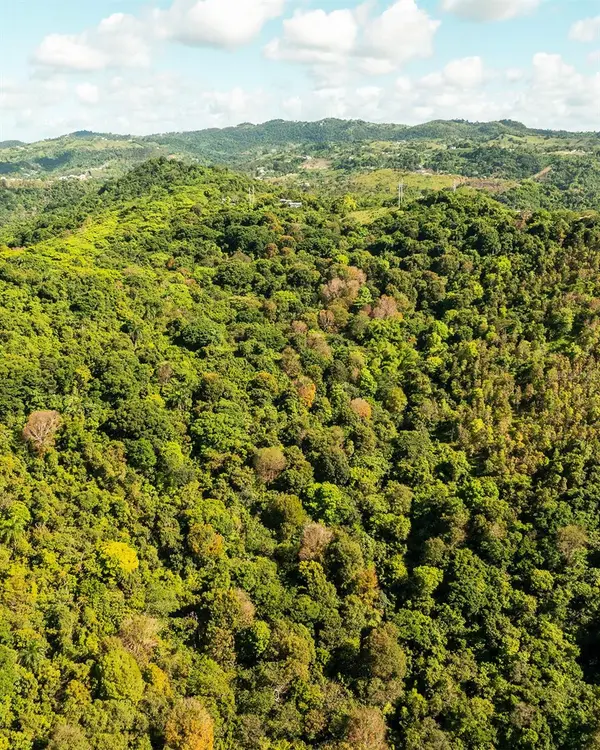 Carr 853 BO. CACAO LOTE 15, Carolina, PR 00987