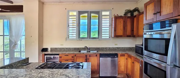 PR-251 FLAMENCO ROAD, Culebra, PR 00775