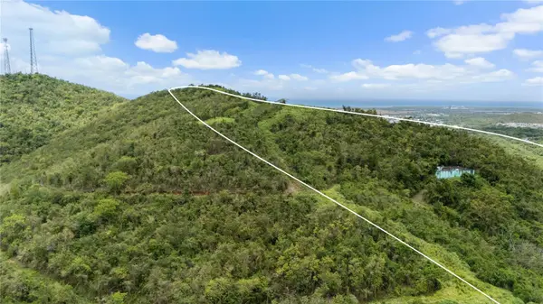 PR-748 CAIMITAL, Guayama, PR 00784