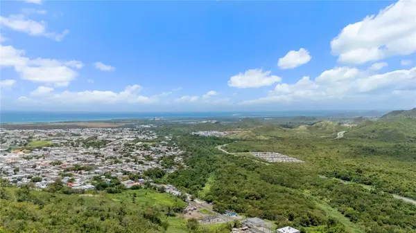 PR-748 CAIMITAL, Guayama, PR 00784