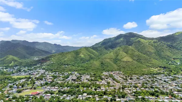 PR-748 CAIMITAL, Guayama, PR 00784