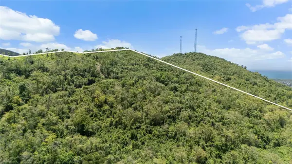 PR-748 CAIMITAL, Guayama, PR 00784