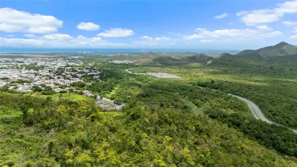 PR-748 CAIMITAL, Guayama, PR 00784
