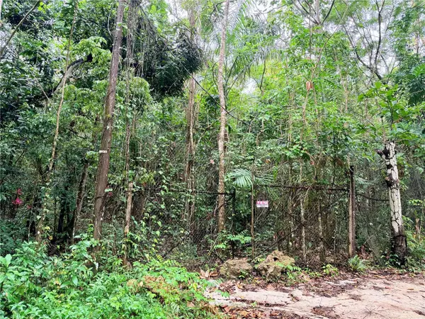 Carr 646 km 7.2 BO RÍO ARRIBA, Vega Baja, PR 00693
