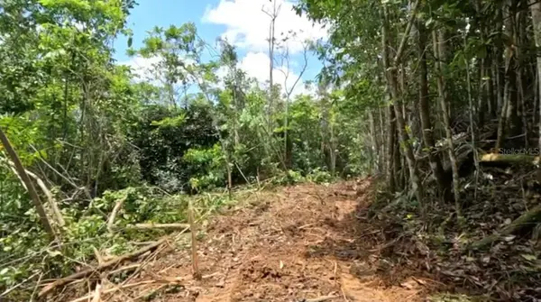 Carr 646 km 7.2 BO RÍO ARRIBA, Vega Baja, PR 00693