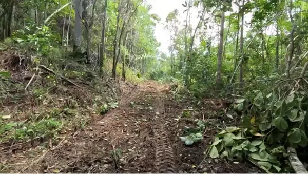 Carr 646 km 7.2 BO RÍO ARRIBA, Vega Baja, PR 00693