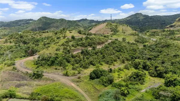 442 URB. VALLE ALTO AVE, Cayey, PR 00736