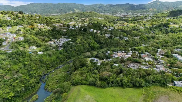 TRAZO BARRIO RINCON, Cidra, PR 00739