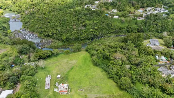 TRAZO BARRIO RINCON, Cidra, PR 00739
