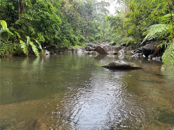 KM 22.1 PR 186, Rio Grande, PR 00745