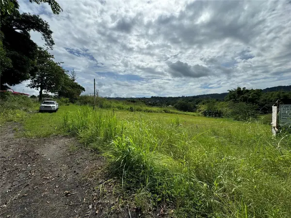 Address not disclosed, Juncos, PR 00777