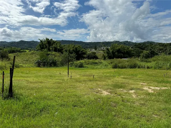 Juncos, PR 00777