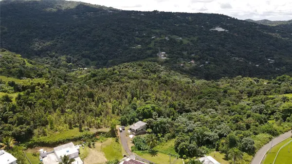 185 Km. 5.8 BO CAMPO RICO SECTOR PENIEL, Canovanas, PR 00729
